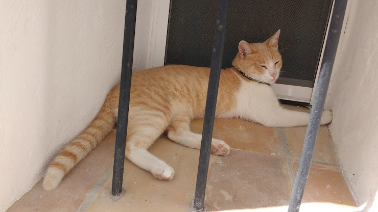 Photos des visiteurs hôtels Apartamentos Casanaty 11150 Vejer de la Frontera