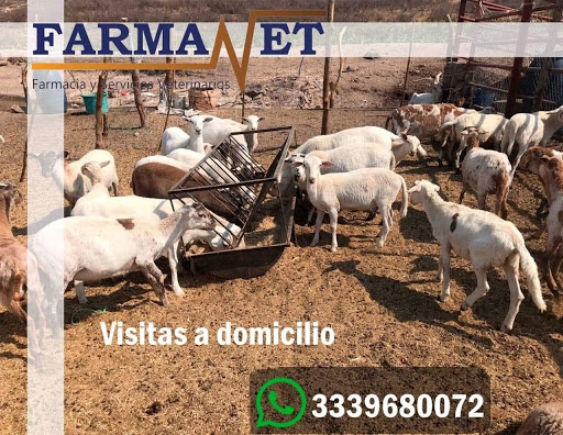 FARMAVET