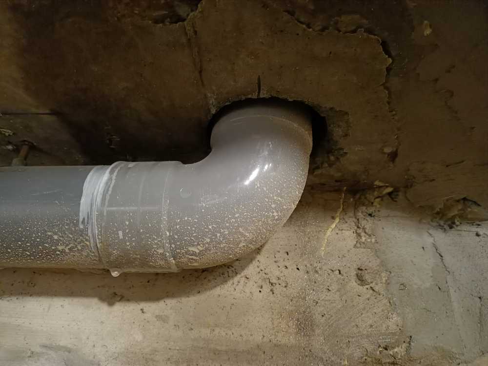Photo n° 3 de l'avis de Sab. fait le 26/03/2023 à 10:21
