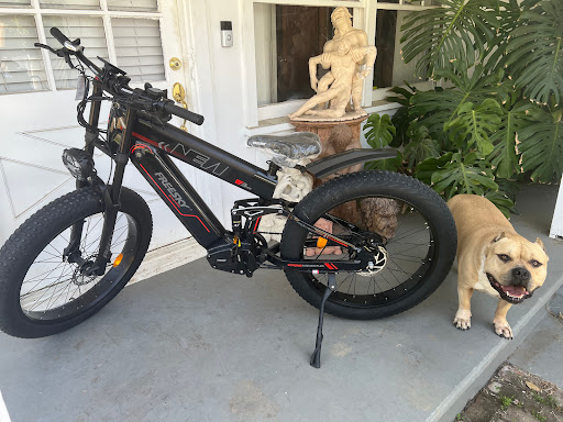 Deer Focus E-Bikes and Bicycle Shop image