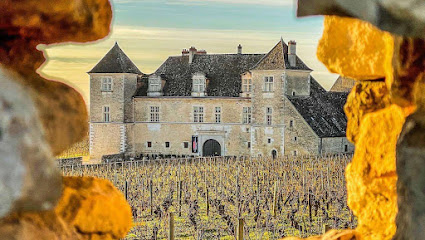 Gîtes bo bis - Maisonnette de charme - Vue Château Clos de Vougeot