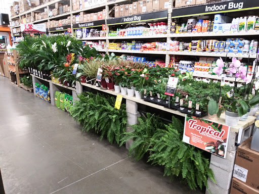 Home Improvement Store «The Home Depot», reviews and photos, 100 Abner Jackson Pkwy, Lake Jackson, TX 77566, USA