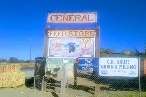 Alexa General Feed Store image