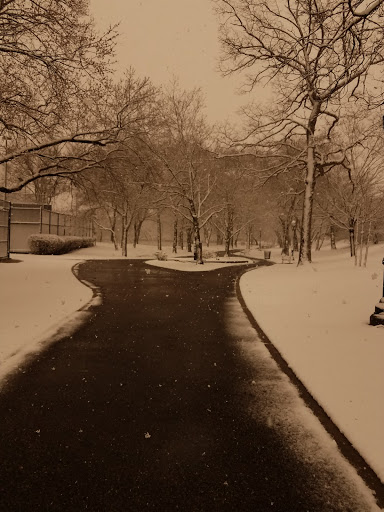 Park «Reverend Arthur Mackey Park», reviews and photos, 242 Elmwood Ave, Roosevelt, NY 11575, USA