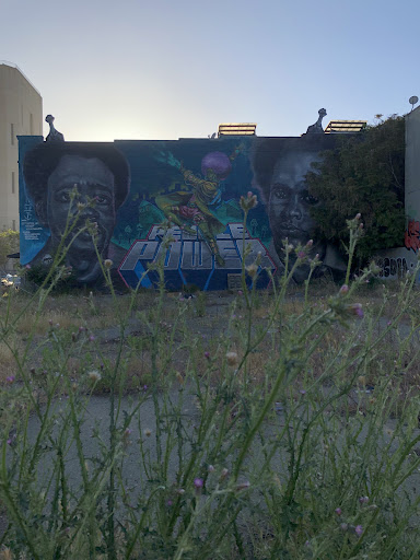 Gangstas Making Astronomical Community Changes Inc.