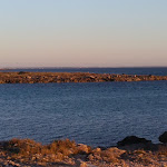 Photo n°5 de l'avis de G.. fait le 03/01/2022 à 18:08 sur le  La Scogliera Ristorante dal 1981 à Torre Colimena