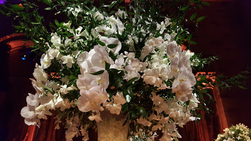 Event Venue «Cipriani 42nd Street», reviews and photos, 110 E 42nd St, New York, NY 10017, USA