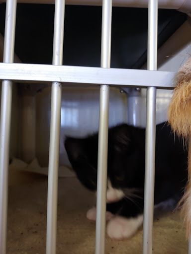 Pet Supply Store «Poudre Pet and Feed Supply», reviews and photos, 2400 N Lincoln Ave, Loveland, CO 80538, USA