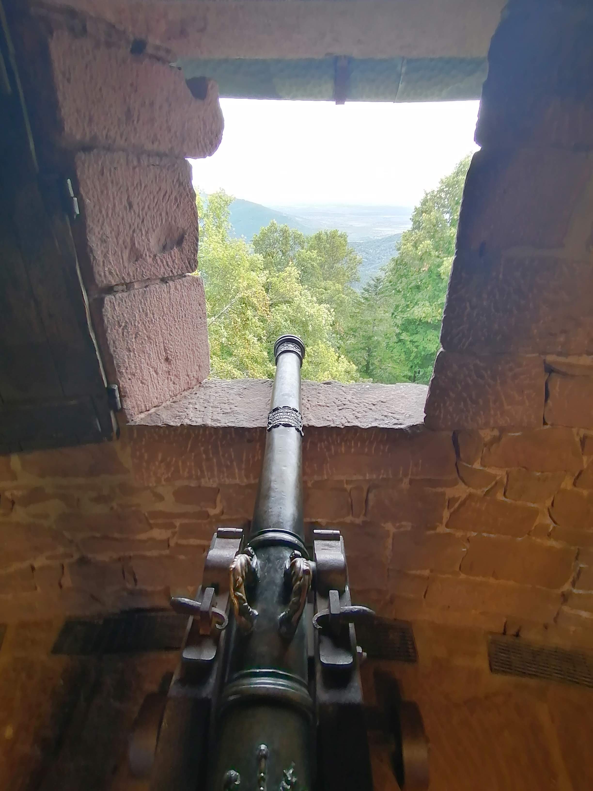 Photo n° 18 de l'avis de Bertrand.e fait le 01/09/2023 à 18:15