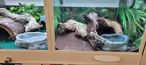 Pet Supply Store «PetSmart», reviews and photos, 3401 Erie Blvd E, Syracuse, NY 13214, USA