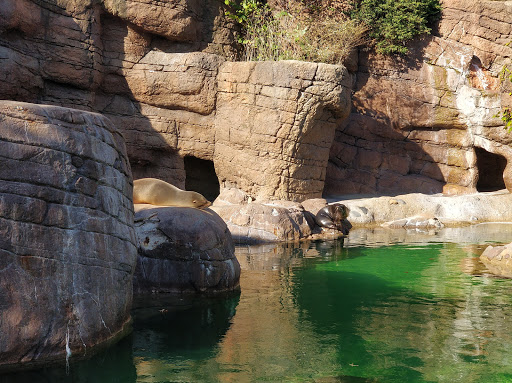 Zoo «Indianapolis Zoo», reviews and photos, 1200 W Washington St, Indianapolis, IN 46222, USA