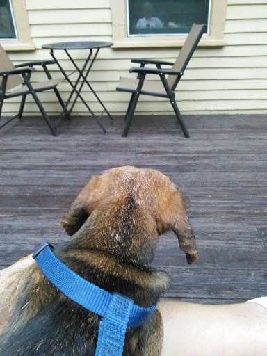 Coffee Shop «Coffee Exchange», reviews and photos, 207 Wickenden St, Providence, RI 02903, USA