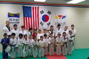 USA Taekwondo Academy image