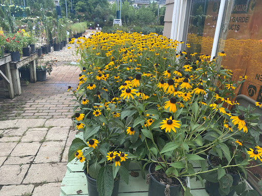 Landscaping Supply Store «Kirkwood Gardens», reviews and photos, 2701 Barrett Station Rd, Ballwin, MO 63021, USA