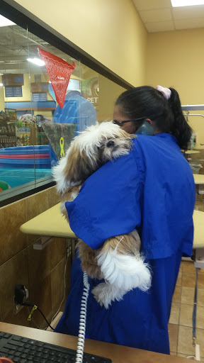 Pet Supply Store «PetSmart», reviews and photos, 10401 US-441, Leesburg, FL 34788, USA