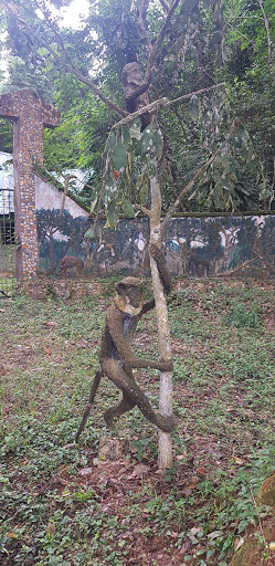 Okomu National Park, Nigeria, Park, state Edo
