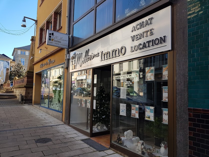 Millesime Immo - Agence immobilière Sarrebourg à Sarrebourg