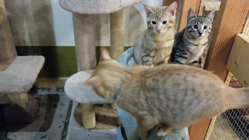 Pet Store «Next to Nature», reviews and photos, 4543 California Ave SW, Seattle, WA 98116, USA