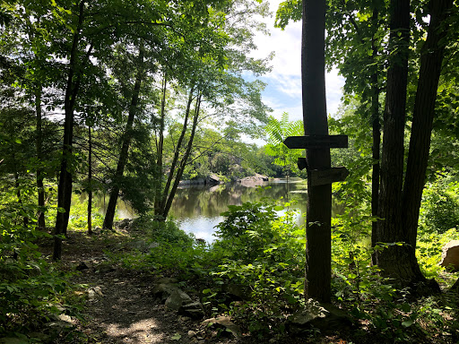 Nature Preserve «John Burroughs Slabsides», reviews and photos, Burroughs Dr, West Park, NY 12493, USA