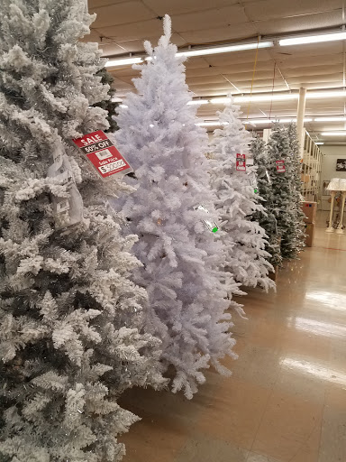 Home Goods Store «Trees n Trends - Henderson, KY», reviews and photos, 1900 US-41 #7, Henderson, KY 42420, USA