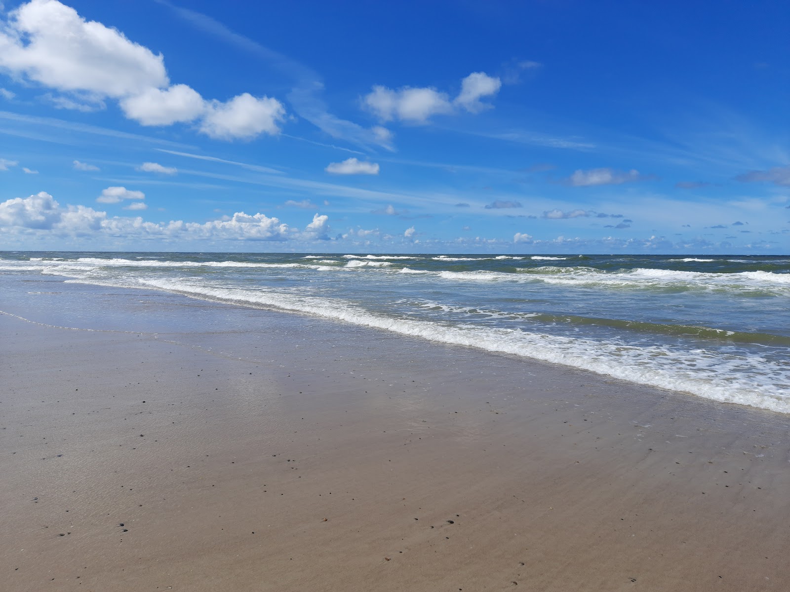 Foto di Bjerregard Beach - luogo popolare tra gli intenditori del relax