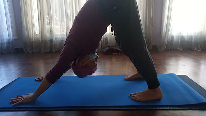 kari Bhakty Ashtanga Yoga Bien Estar
