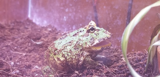 Pet Supply Store «Petco Animal Supplies», reviews and photos, 11633 Ulysses Ln NE #200, Blaine, MN 55434, USA