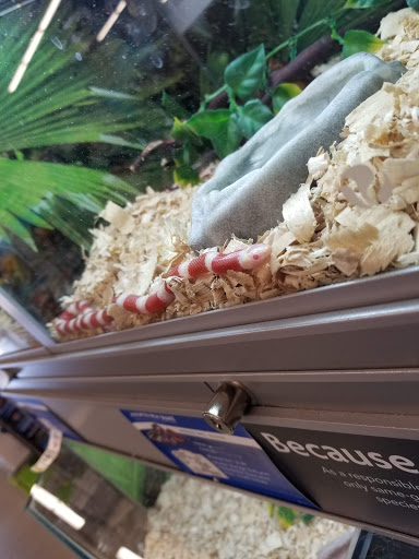 Pet Store «PetSmart», reviews and photos, 16001 Elmhurst Ln, Lakeville, MN 55044, USA