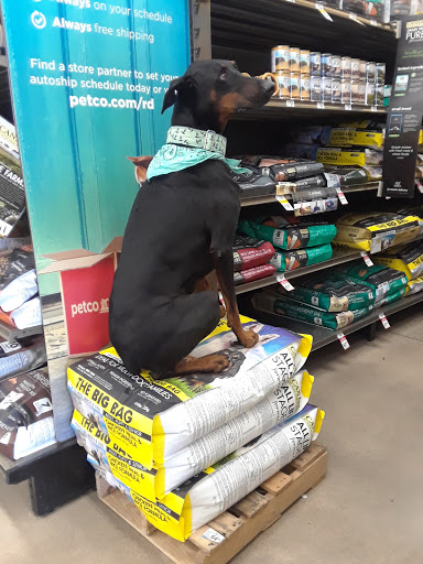 Pet Supply Store «Petco Animal Supplies», reviews and photos, 5994 Montana Ave, El Paso, TX 79925, USA