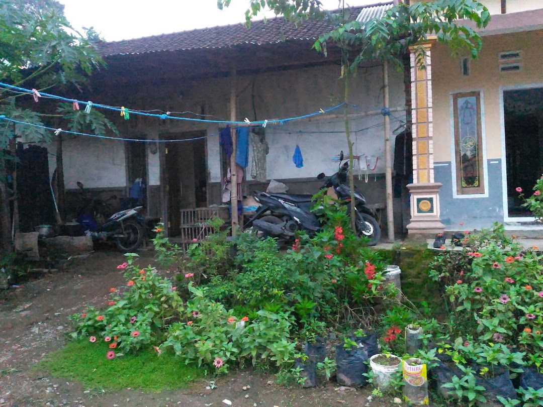 Loper Ayam Kampung P Samuri Di Kota Kediri