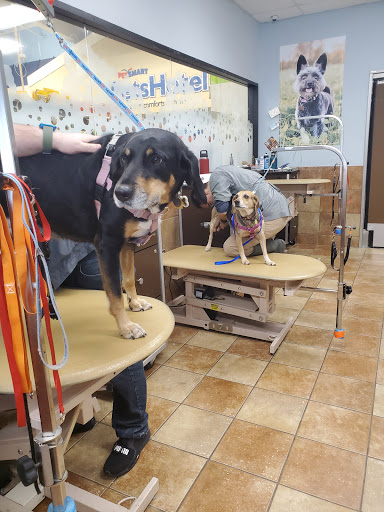 Pet Supply Store «PetSmart», reviews and photos, 8204 Leesburg Pike, Vienna, VA 22182, USA