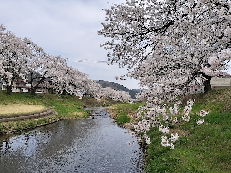 高田の桜