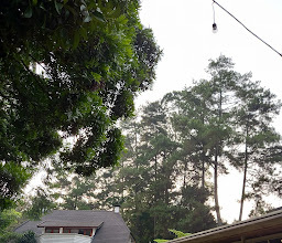 Nara Park Bandung photo