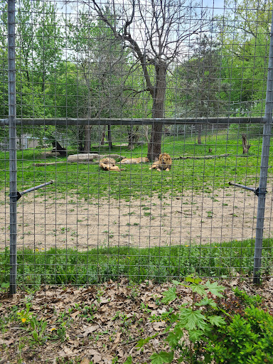 Zoo «Utica Zoo», reviews and photos, 1 Utica Zoo Way, Utica, NY 13501, USA