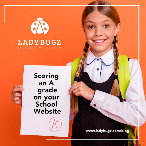 Website Designer «Ladybugz Interactive Agency», reviews and photos, 206 Turnpike Rd, Southborough, MA 01772, USA