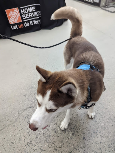 Home Improvement Store «The Home Depot», reviews and photos, 135 Commercial Rd, Leominster, MA 01453, USA