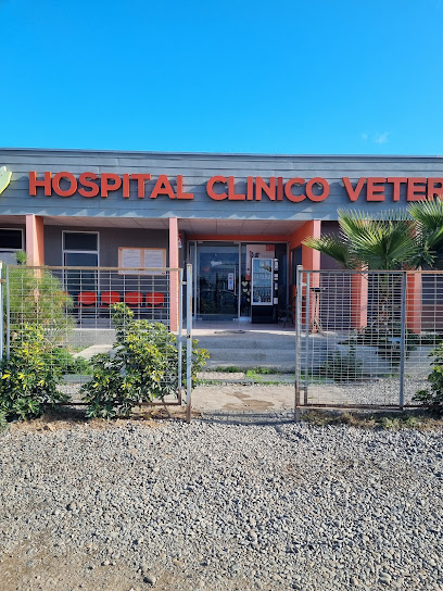 Hospital Clinico Veterinario Quillota