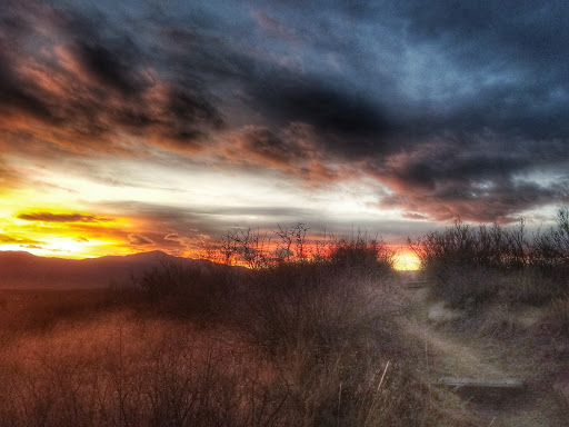 Park «Iron Horse Park», reviews and photos, 6151 Elwell St, Fort Carson, CO 80913, USA