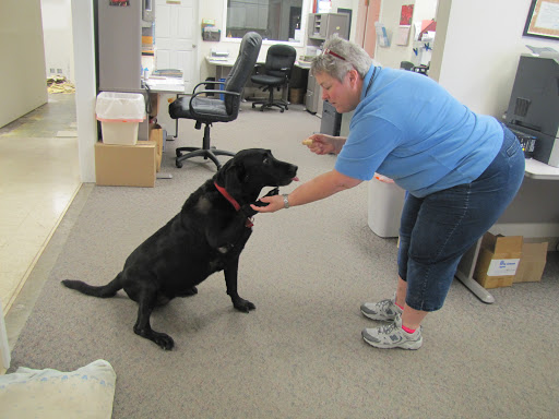 Air Conditioning Contractor «C.M. Mose & Son, Inc», reviews and photos, 6603 Royal St, Pleasant Valley, MO 64068, USA