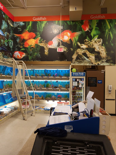 Pet Supply Store «PetSmart», reviews and photos, 351 N Frontage Rd, New London, CT 06320, USA