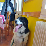 Photo n°1 de l'avis de Lisa.u fait le 10/01/2023 à 13:14 sur le  Albergo Ristorante Pizzeria Edelweiss Tonezza à Tonezza del Cimone