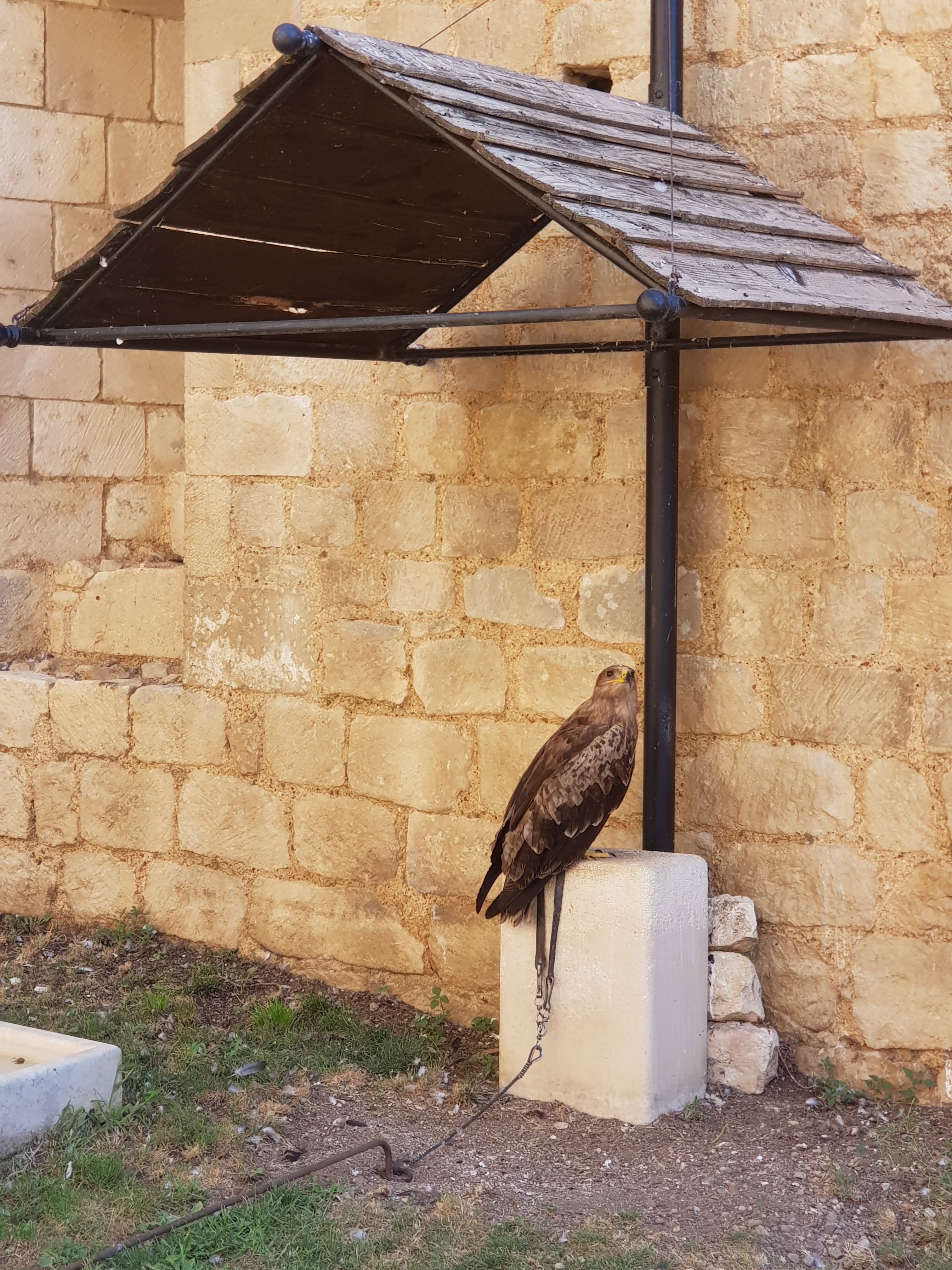 Photo n° 22 de l'avis de La.� fait le 10/08/2022 à 18:06