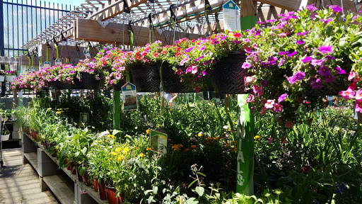 Home Improvement Store «Menards», reviews and photos, 740 E Rand Rd, Mt Prospect, IL 60056, USA