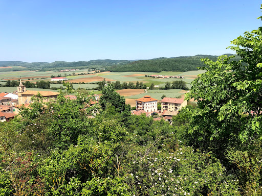 Clínica Veterinaria Poveda en Roquetas de Mar