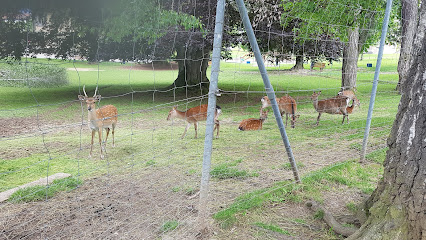 Deer park of Humilimont - Marsens
