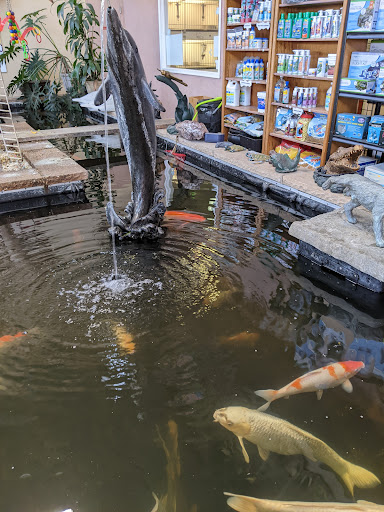 Pet Store «Pet Paradise Grooming», reviews and photos, 1115 Pueblo Blvd Way, Pueblo, CO 81005, USA