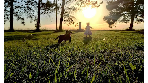 7810 E Funston St, Wichita, KS 67207, USA