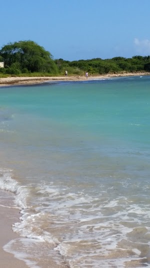 Playa Ballena - photo 20