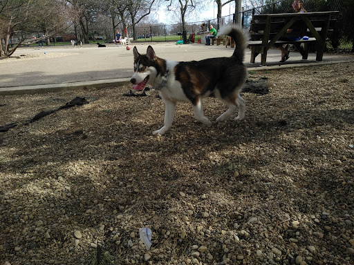 Dog Park «Norwood Park Dog Friendly Area», reviews and photos, 5850 N Avondale Ave, Chicago, IL 60631, USA