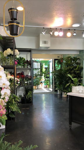 Florist «Green Fresh Florals», reviews and photos, 3785 Fourth Ave, San Diego, CA 92103, USA
